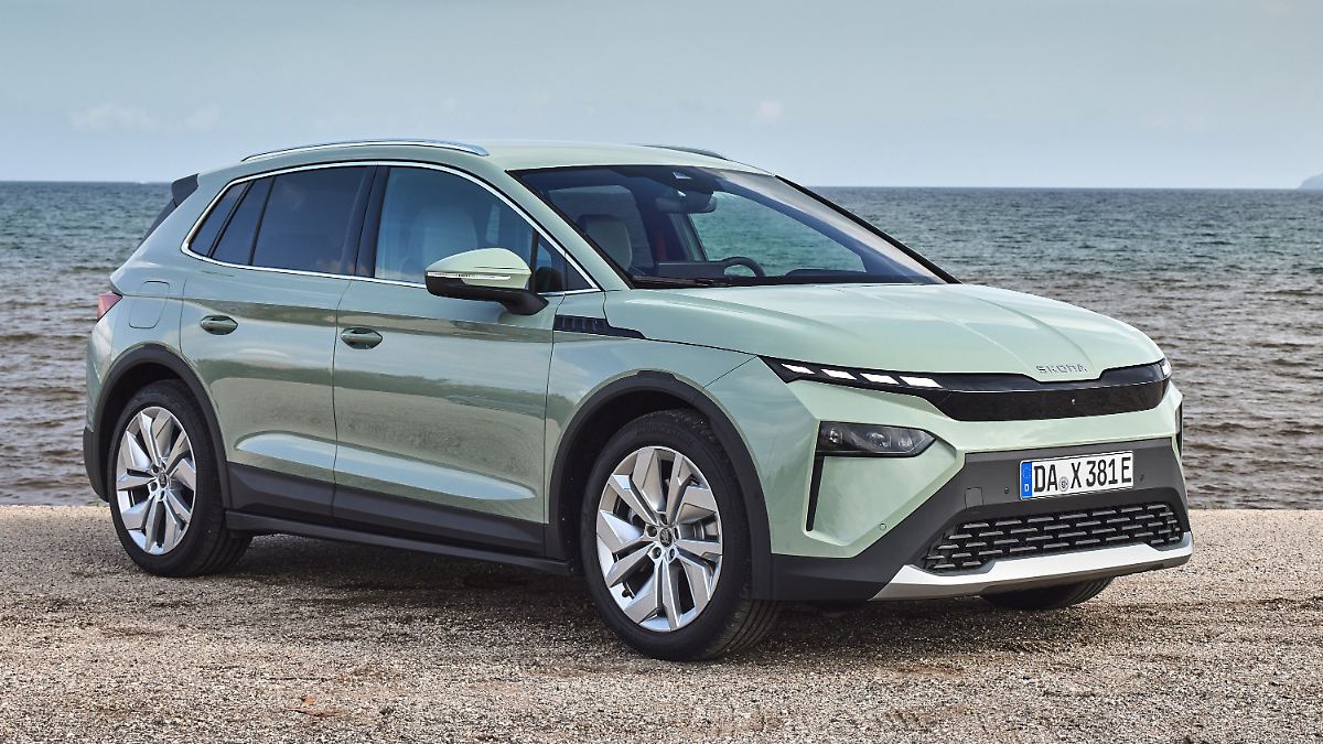 Pkw-Neuzulassungen 2025 - Gewinner und Verlierer: Vor allem Skoda, BMW und Ford legen zu, Tesla fällt ab