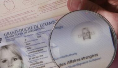 Liest die US-Regierung bald schon direkt in der Datenbank mit?