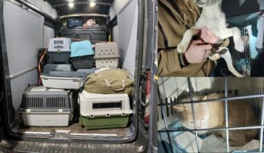 Bundespolizeidirektion München: Bundespolizei entdeckt mutmaßlich illegalen ...