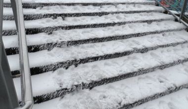 Absage der Veranstaltung 19. Leipziger Brückenlauf 2026 · Leipziger Zeitung