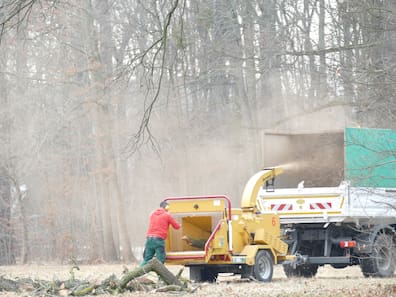 Ein Mann wirft im Großen Garten Dresden Äste in einen Holzhäcksler.