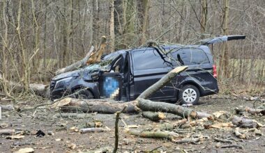 Baum fällt auf Auto – Passanten retten eingeklemmten Fahrer