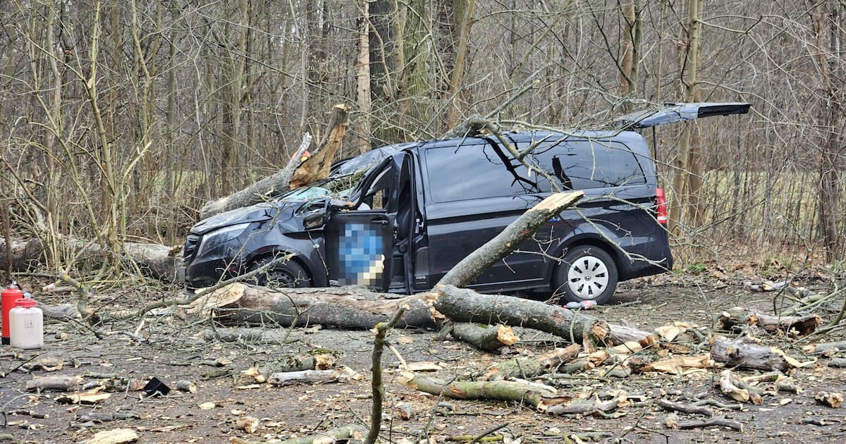 Baum fällt auf Auto – Passanten retten eingeklemmten Fahrer