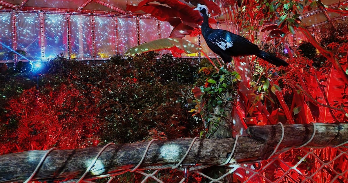 Tickets für das „Magische Tropenleuchten“ im Zoo Leipzig gewinnen