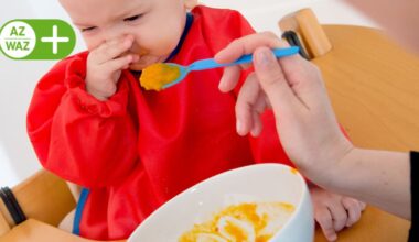 Impulsvorträge und Familienzeit: Das Papenteicher Elternprogramm 2026