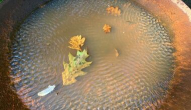 Pressemitteilung Nr. 002/2026 der Leibniz Universität Hannover Wasser – Mensch ...