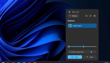 Trdo: Schlichter Internet-Radio-Player für Windows