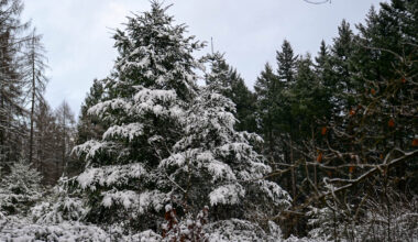 Immer wieder sonntags… Einfach losgehen