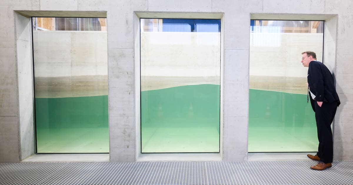 Wie ein Wasser-Spielplatz Küsten schützt