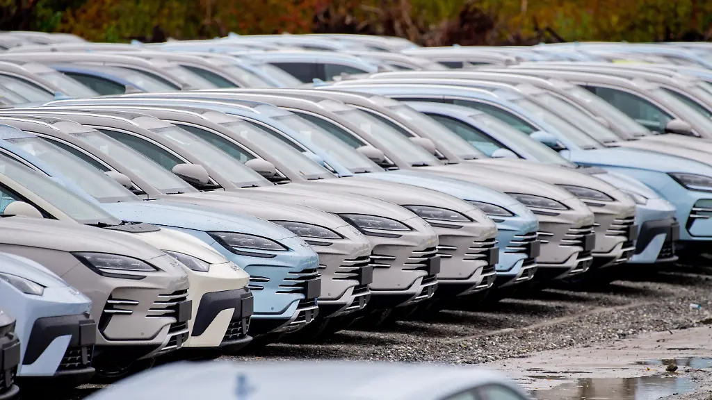 Zahlreiche-neue-Elektrofahrzeuge-von-Byd-stehen-auf-einem-Parkplatz-im-Hafengebiet