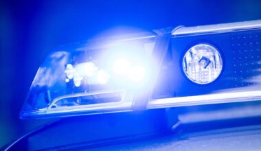 Mutmaßliche Autodiebe nach Verfolgungsjagd festgenommen