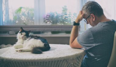 Mann lässt sich wegen toter Katze krankschreiben: Gericht spricht Urteil | News