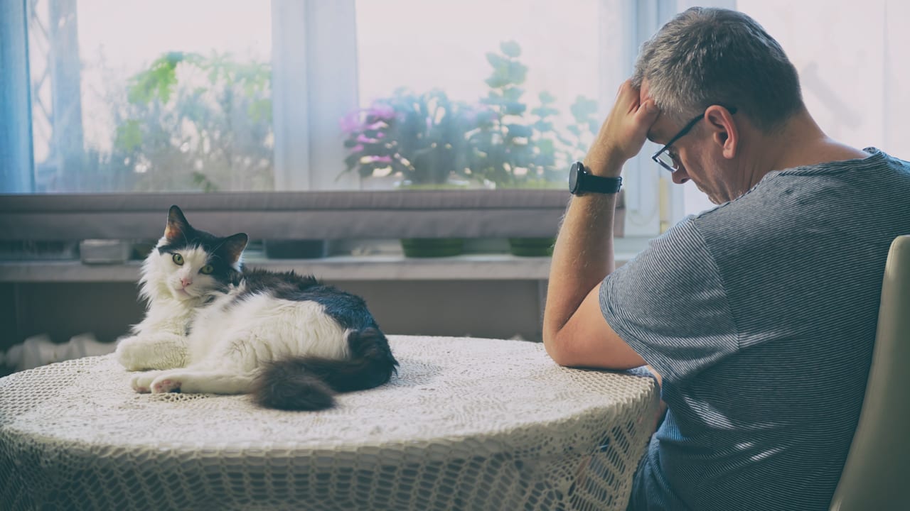 Mann lässt sich wegen toter Katze krankschreiben: Gericht spricht Urteil | News