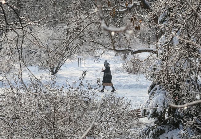Die Schneelandschaft in einem Kiewer Park mag idyllisch wirken. Ohne funktionierende Versorgung stellen die tief winterlichen Bedingungen die Hauptstadtbewohner jedoch vor grosse Probleme.