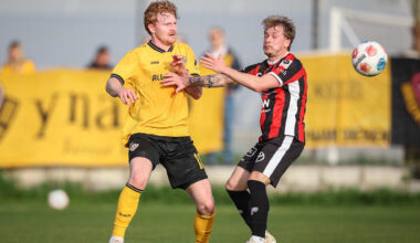 Dynamo Dresden: Dieser Neuzugang sieht aus wie ein Weltstar | Sport