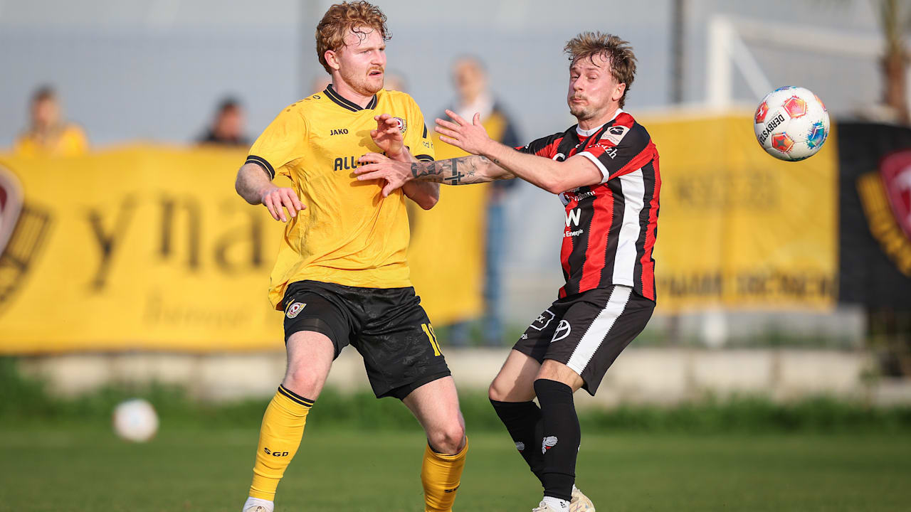 Dynamo Dresden: Dieser Neuzugang sieht aus wie ein Weltstar | Sport