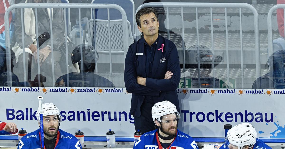 Adler Mannheim verlieren nach Fehlstart in der DEL in Straubing
