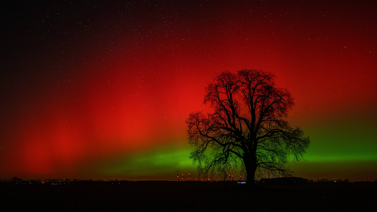 Ungewöhnlicher Ausblick: Polarlichter verzaubern Berlin! | Regional