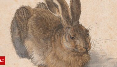 Ausstellungsjahr Der Hase hat heuer wieder Auslauf