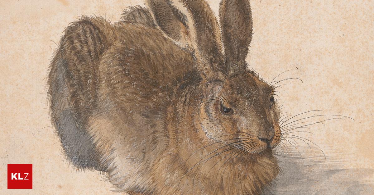Ausstellungsjahr Der Hase hat heuer wieder Auslauf