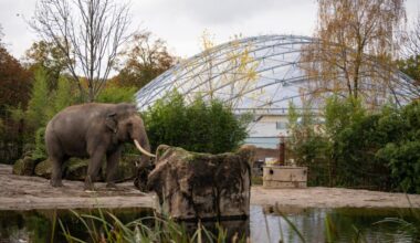 2026 neuer Rabatt für Familien