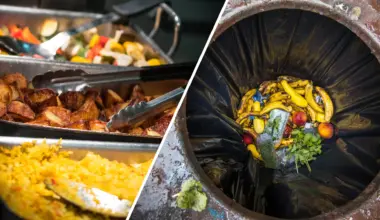 All-You-Can-Eat: Wie beim Büfett weniger Essen im Müll landet