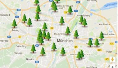 Wohin mit dem Christbaum? So läuft die Entsorgung in München