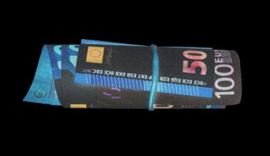 Geldwäsche und Demokratie: Fünf Maßnahmen gegen kriminelle Netzwerke in Deutschland - Wirtschaft