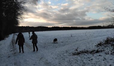 Wetterecke: Nach Sturmböen und Tauwetter kehrt die Kälte zurück