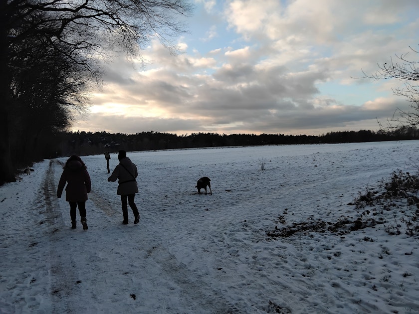 Wetterecke: Nach Sturmböen und Tauwetter kehrt die Kälte zurück