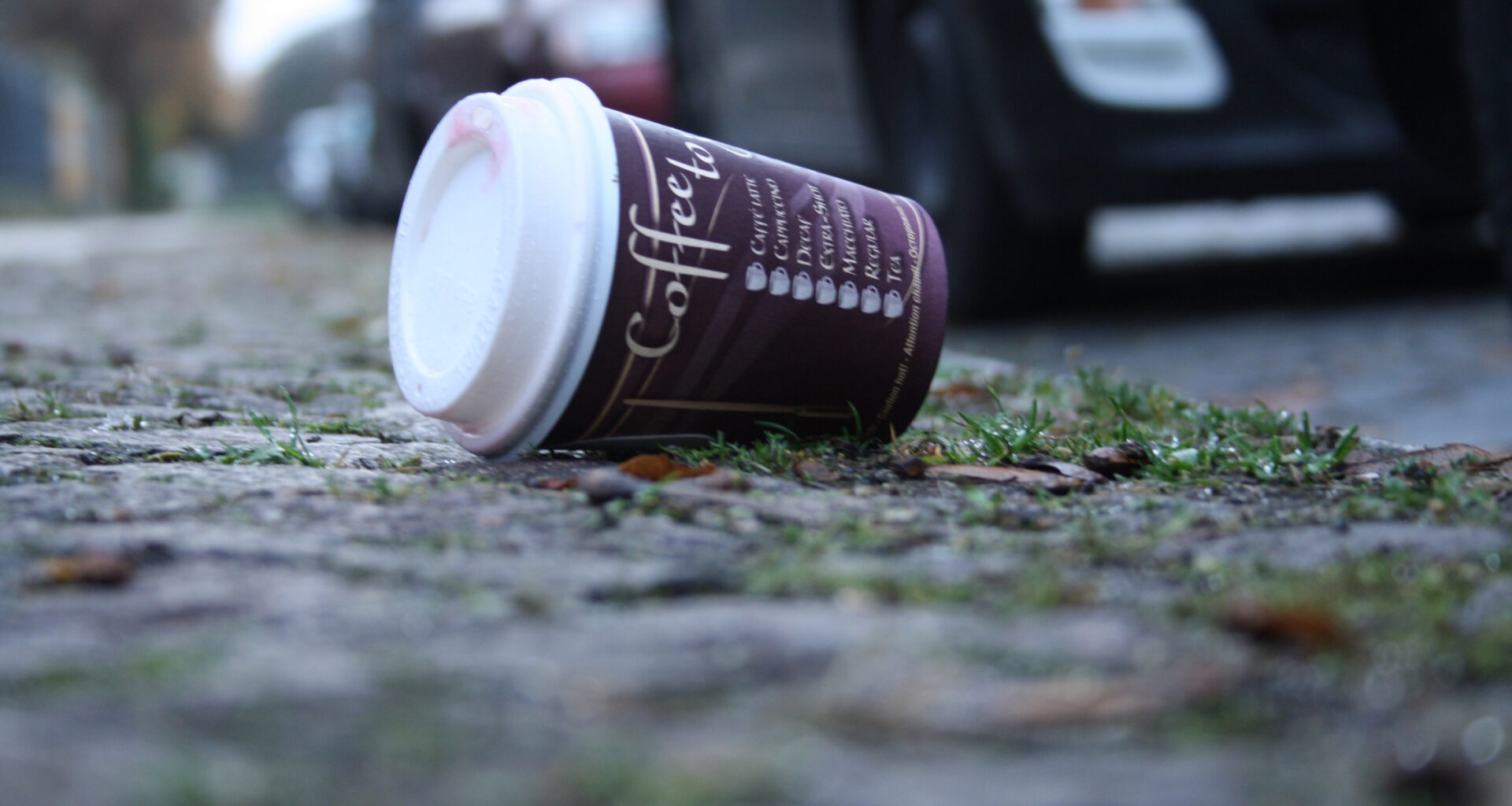 BUND Leipzig fordert Verpackungssteuer und konsequente Klimaanpassung · Leipziger Zeitung