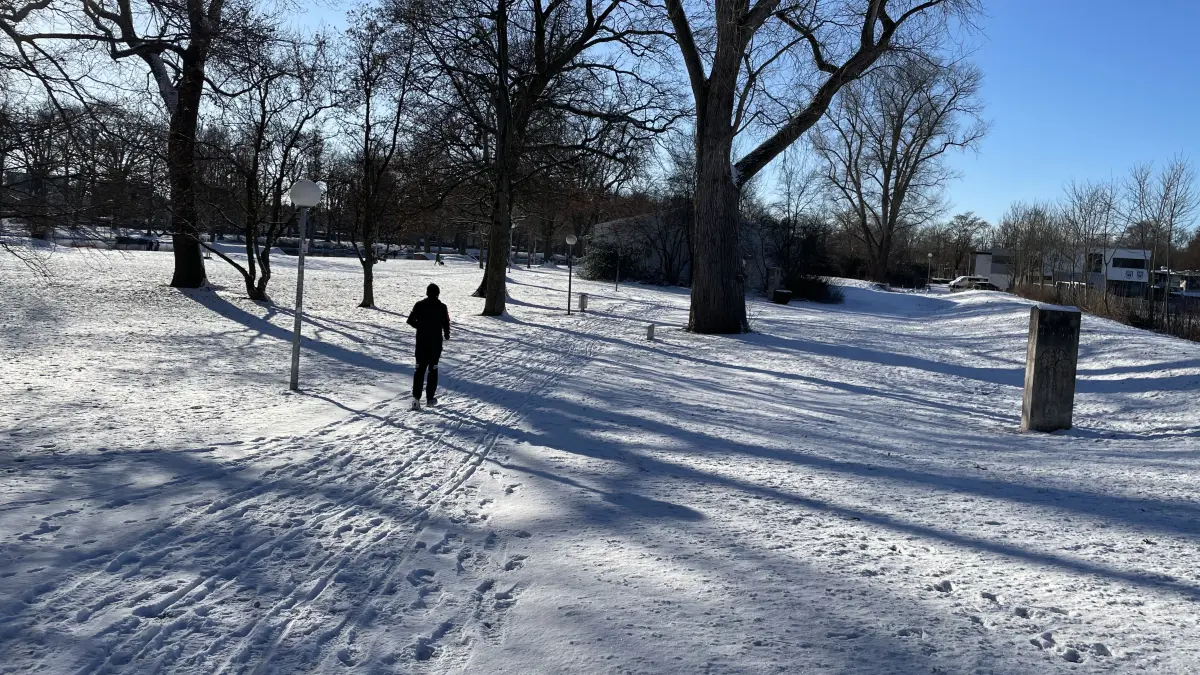 Schnee in Ulm am ersten Januarwochenende 2026