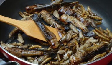 Insekten essen wie im Dschungelcamp: Ist das eigentlich gesund? | Unterhaltung