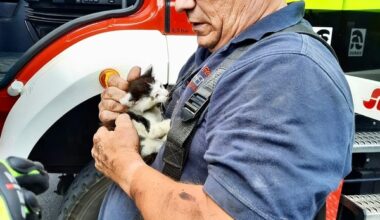 Der Löschzug Waldniel wurde am gestrigen Dienstagnachmittag um 14:44 Uhr mit dem Einsa