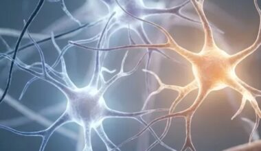 Entzündung als Schlüssel für Früherkennung