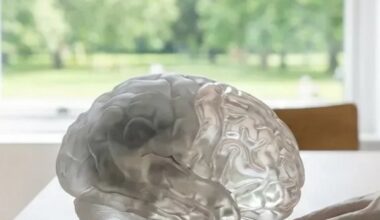 Parkinson-Therapie: Angstbehandlung schützt das Gehirn