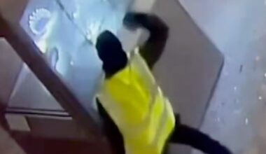 Louvre-Raub: Erstmals Überwachungsvideos veröffentlicht – Personal sah hilflos zu