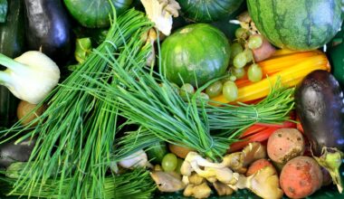 Ein Gemüse-Korb mit Fenchel, Schnitt-Lauch, Kürbissen und Auberginen.