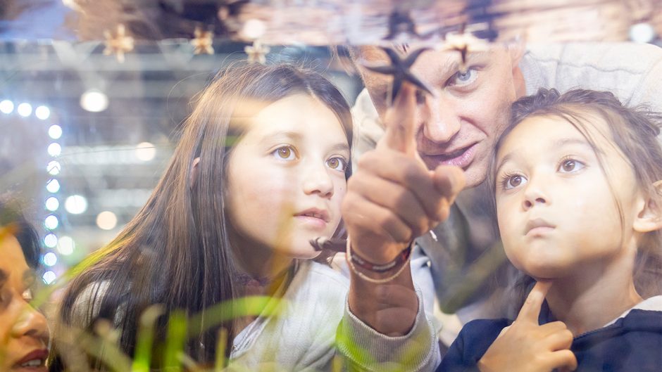 Bildergalerie: So schön ist ein Tag auf der boot 2026 – alle Fotos!