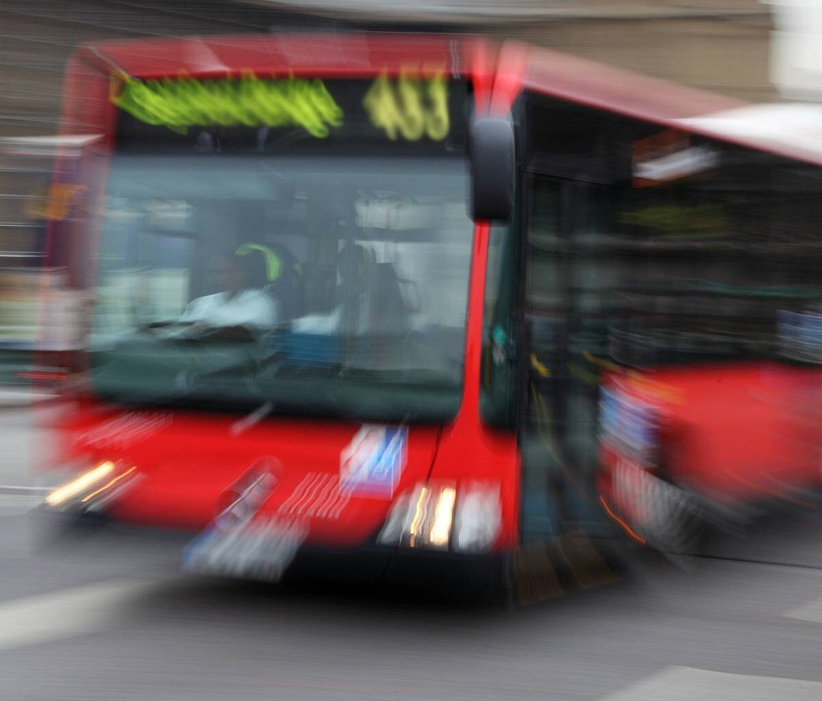 Anwälte informieren bei der SWB-Vorstandssitzung