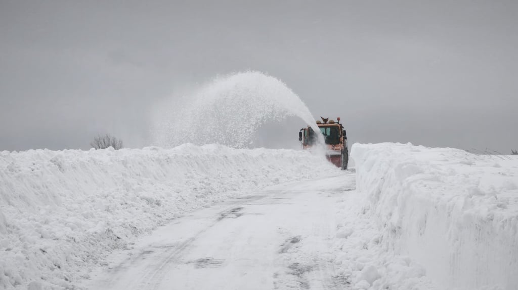 Sturmtief "Elli" sorgt für Ausfall in Sachsen-Anhalt: Diese Schulen machen dicht