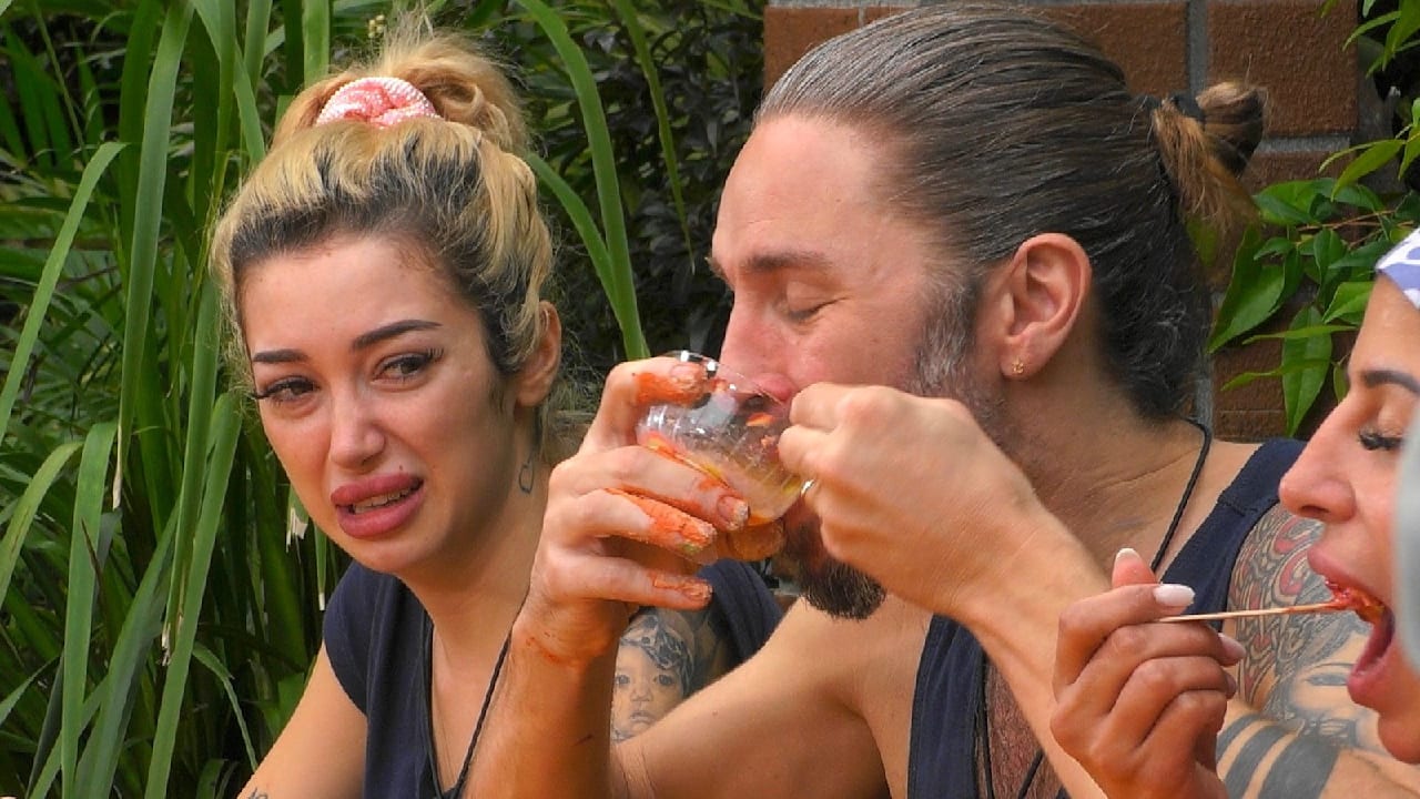 Dschungelcamp 2026: Ariel würgt Ekel-Hausmannskost runter | Unterhaltung