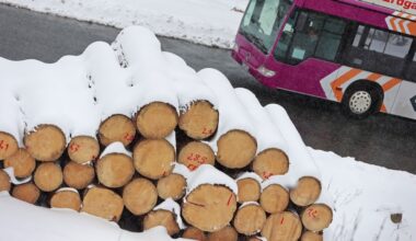 Busverkehr in Sachsen-Anhalt läuft überwiegend wieder an