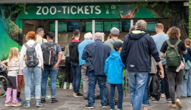 „Kommen ans Limit“ Parkplatz-Not am Kölner Zoo – jetzt gibt es neuen Plan