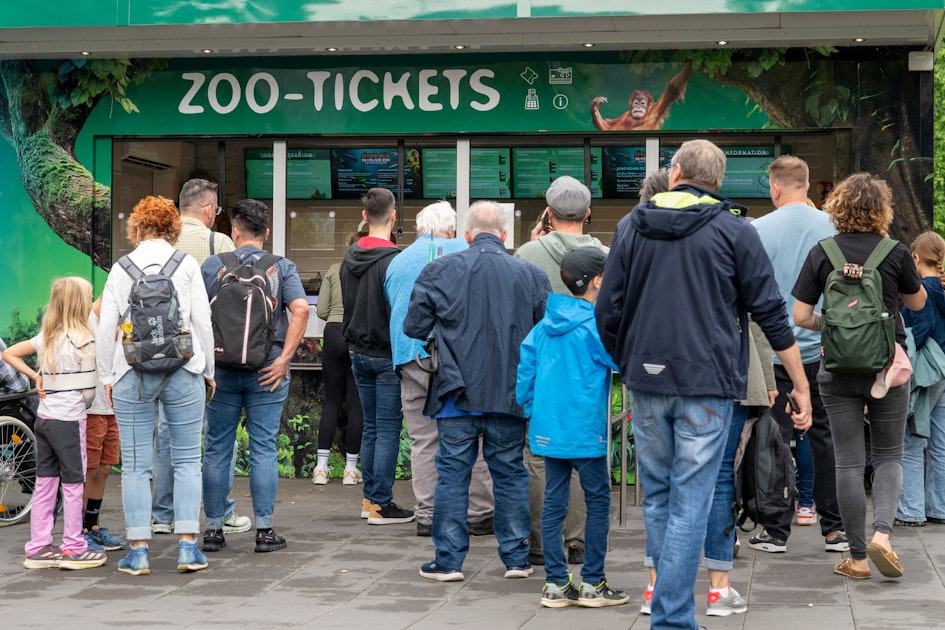 „Kommen ans Limit“ Parkplatz-Not am Kölner Zoo – jetzt gibt es neuen Plan