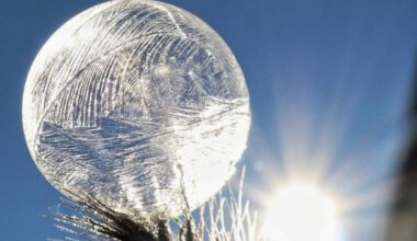 Ein strahlender Neujahrsgruß aus Breitenberg
