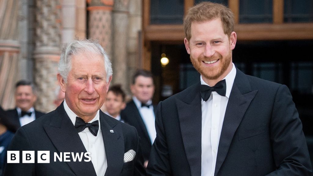Prince Harry not planning to meet King on next trip to the UK