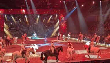 So sah es 2025 in der Nürnberger Arena bei "Cavalluna" aus.