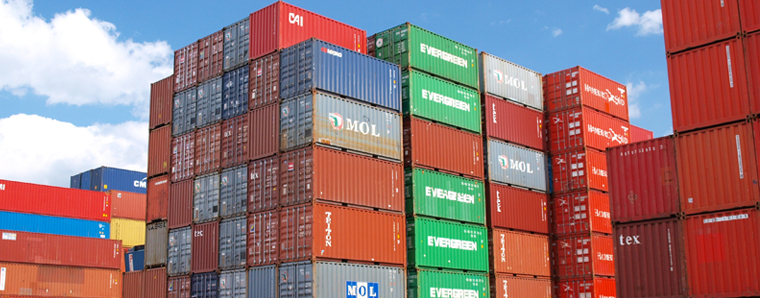 Grüne kritisieren eigene EU-Abgeordnete nach Mercosur-Abstimmung