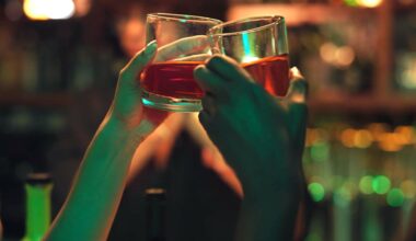 Zwei Personen stoßen mit einem Getränk in einer Bar an